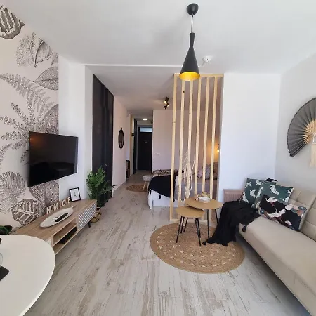Playa Del Ingles Apartment