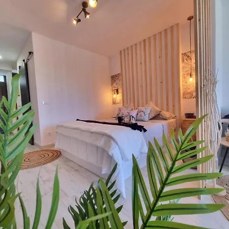 Playa Del Ingles Apartment